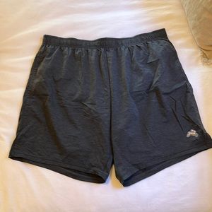 Tracksmith Session Shorts (7”, XL)